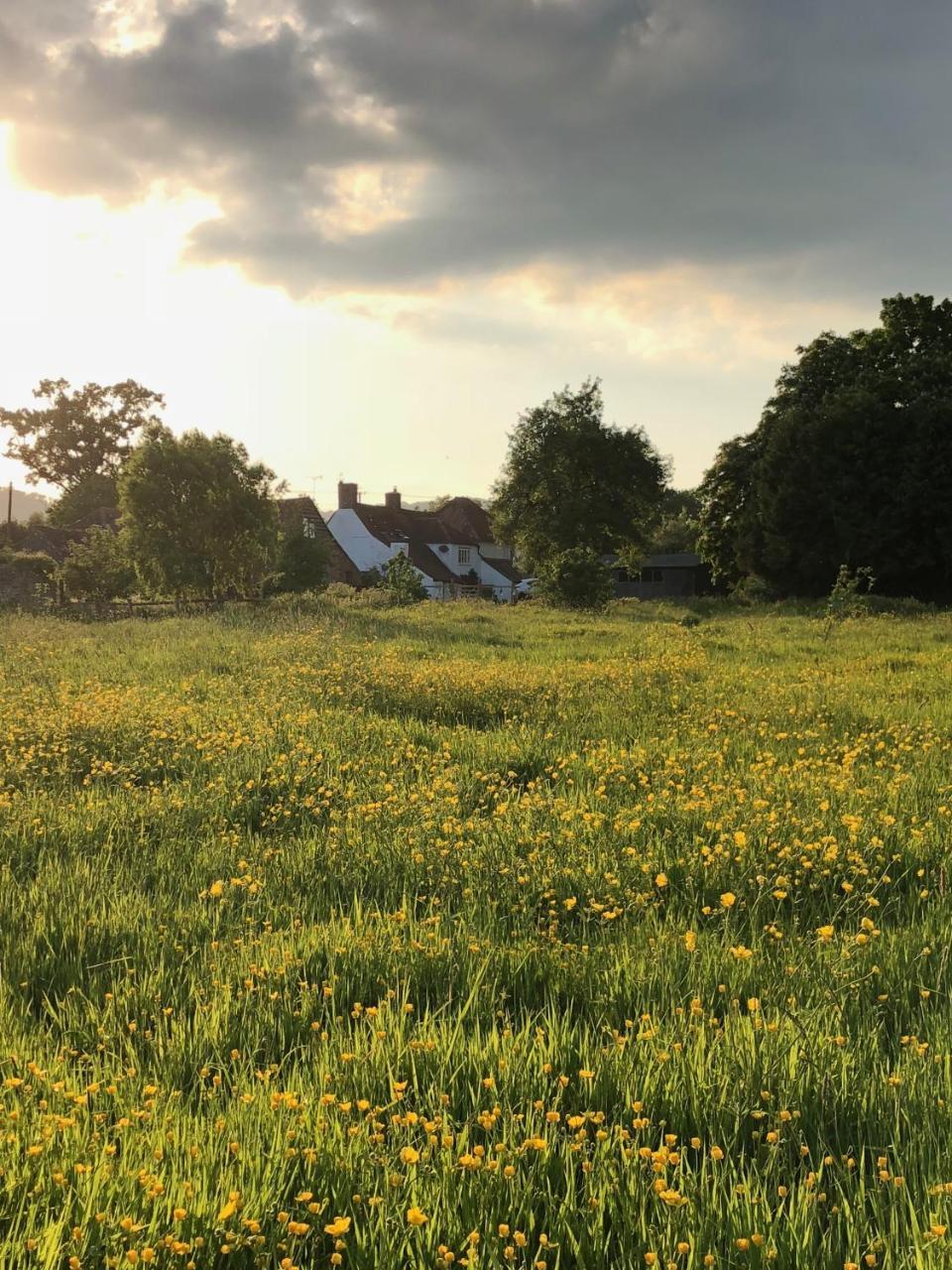 Home Farm Birtsmorton Buitenkant foto